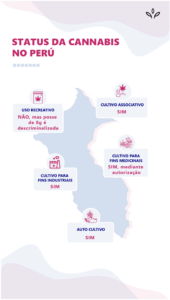 status da legalização da cannabis no peru