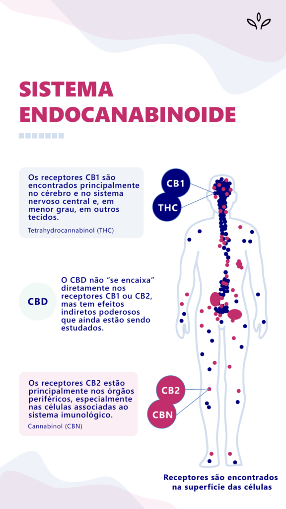 Anandamida, o neurotransmissor da felicidade produzido pelo nosso