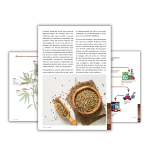 mockups paginas canhamo no brasil