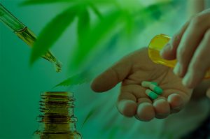 cannabis medicinal no brasil