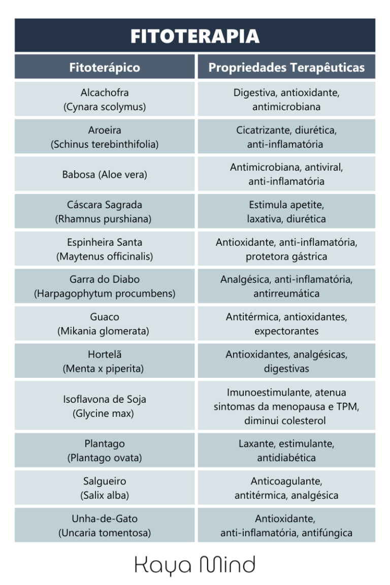 Fitoterapia: o que é e como funcionam os medicamentos fitoterápicos