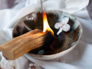 dicas para desmarofar palo santo