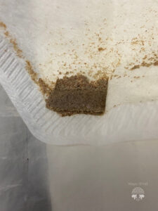 como fazer haxixe em casa