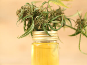 azeite canábico