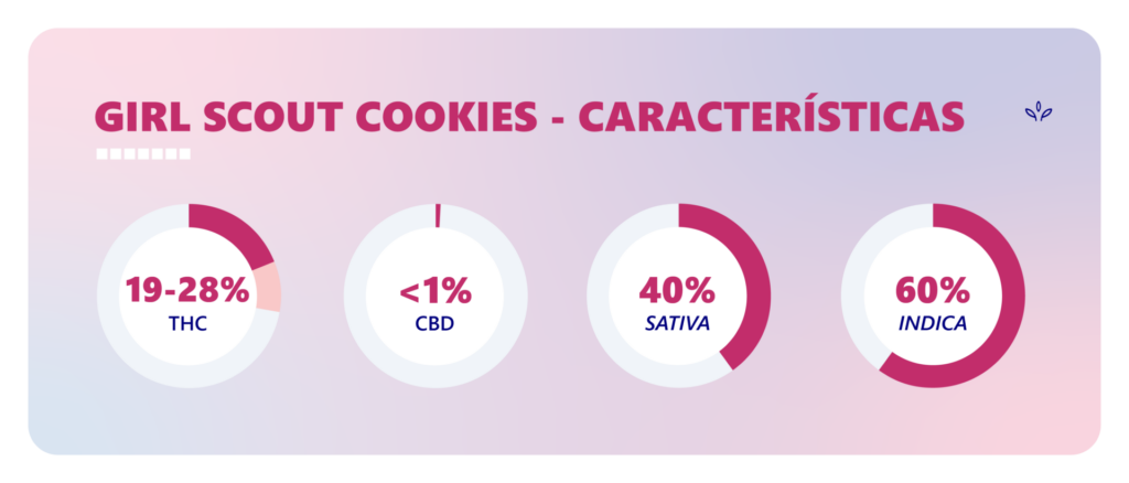 girl scout cookies características