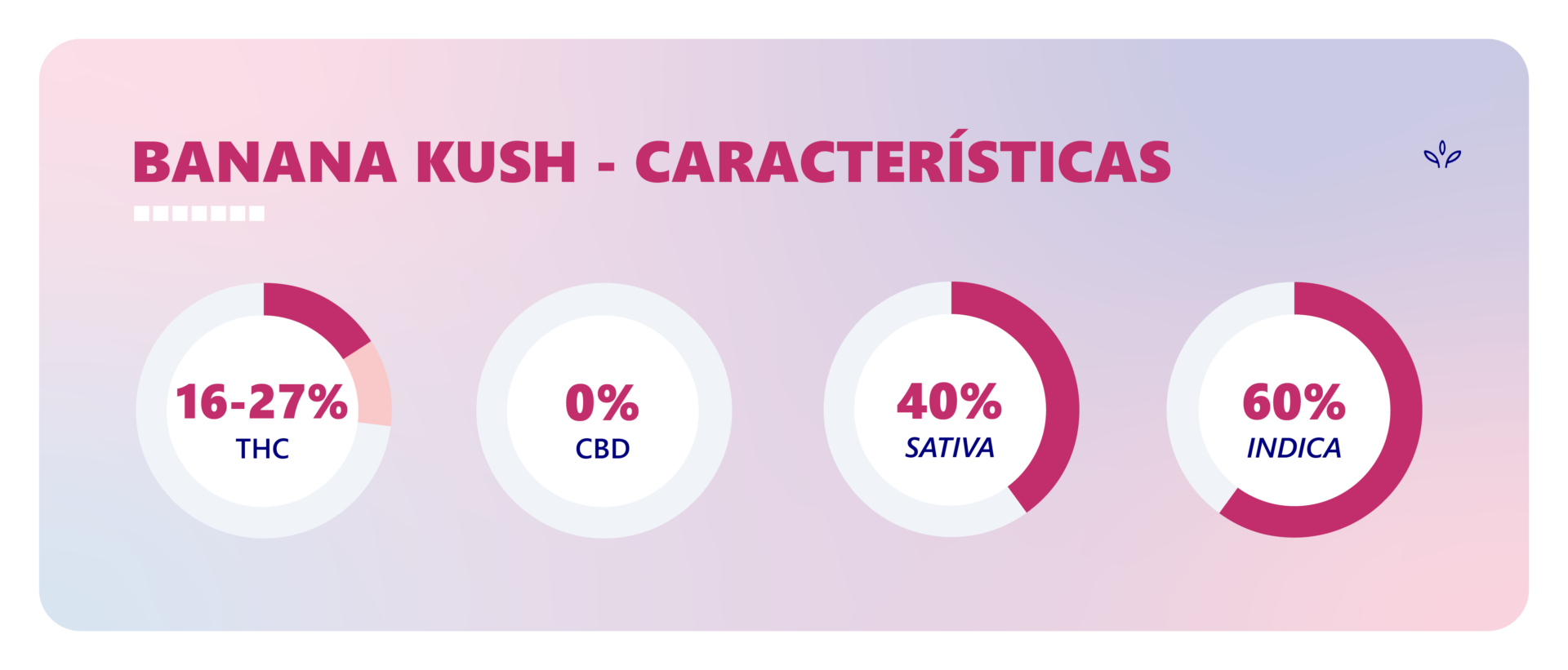 Banana Kush efeitos, características e formas de cultivo da strains