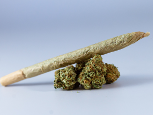 Dicas sobre eventos canábicos