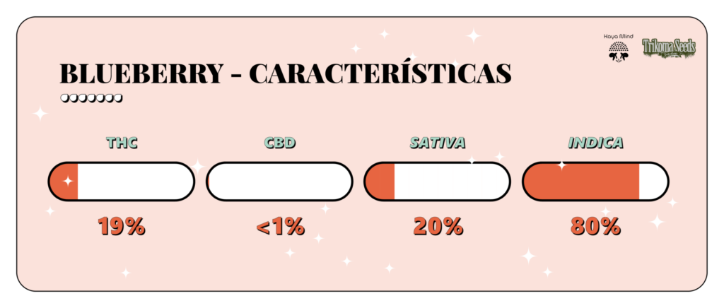 Blueberry strain características