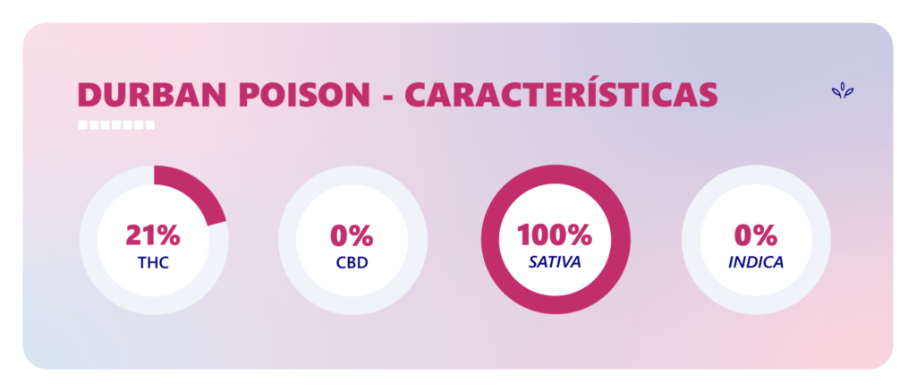 Características da planta