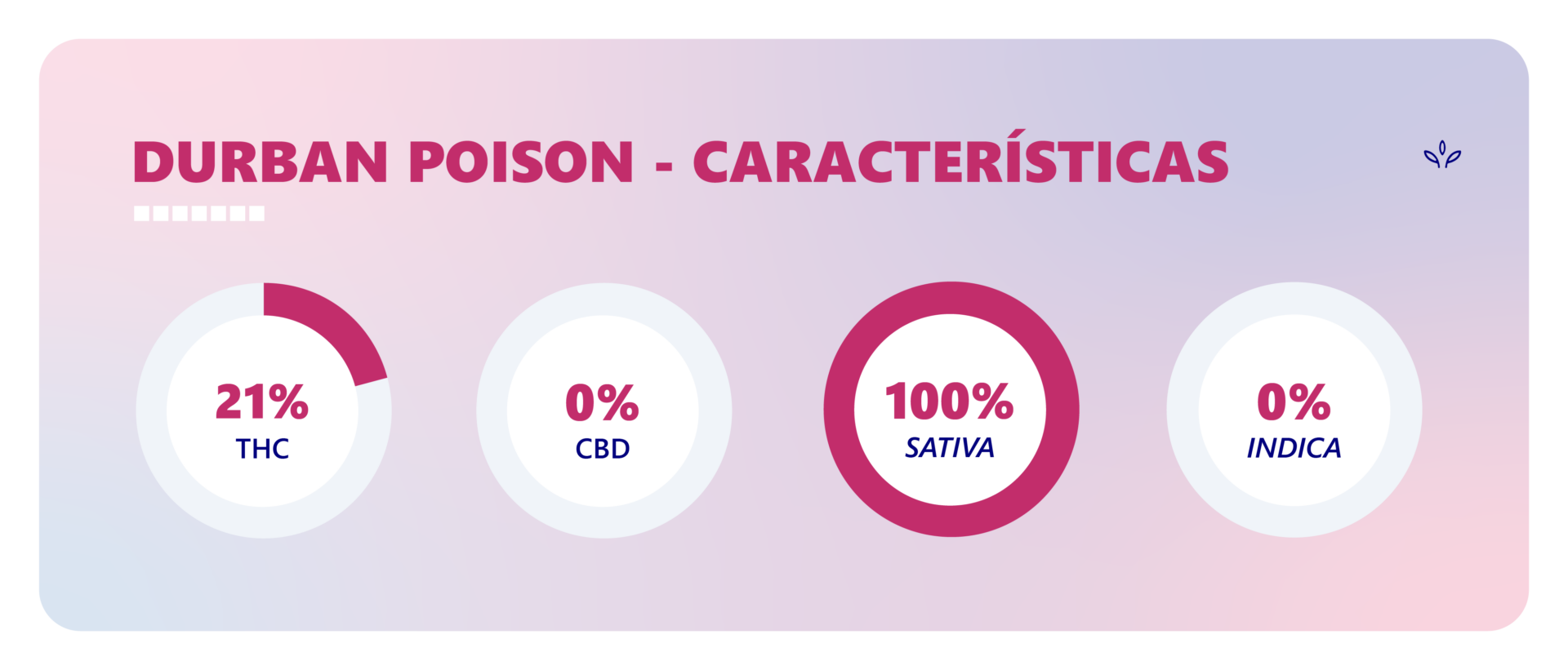 Durban Poison Efeitos Características E Formas De Cultivo Da Strain