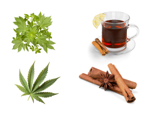 Chá de canela e cannabis