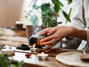 Espiritualidade do cacto San Pedro