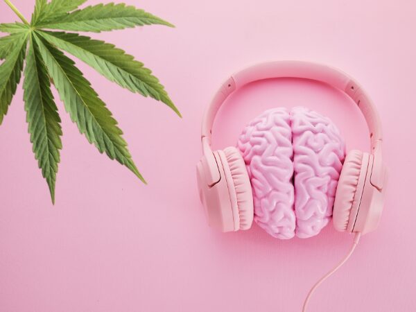 Música e cannabis