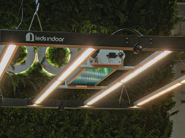 Painéis de LED para cultivo indoor