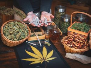 Regulamentação do clube de cannabis