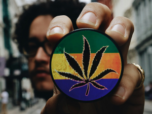 legalizacao cannabis brasil