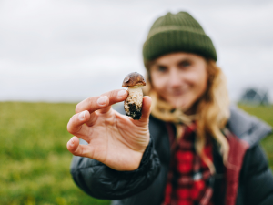 Cogumelo é a droga mais segura