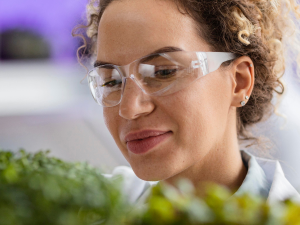 Endocanabinoide 2-AG