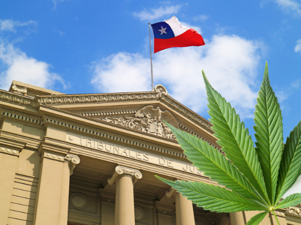 uso adulto da cannabis no Chile