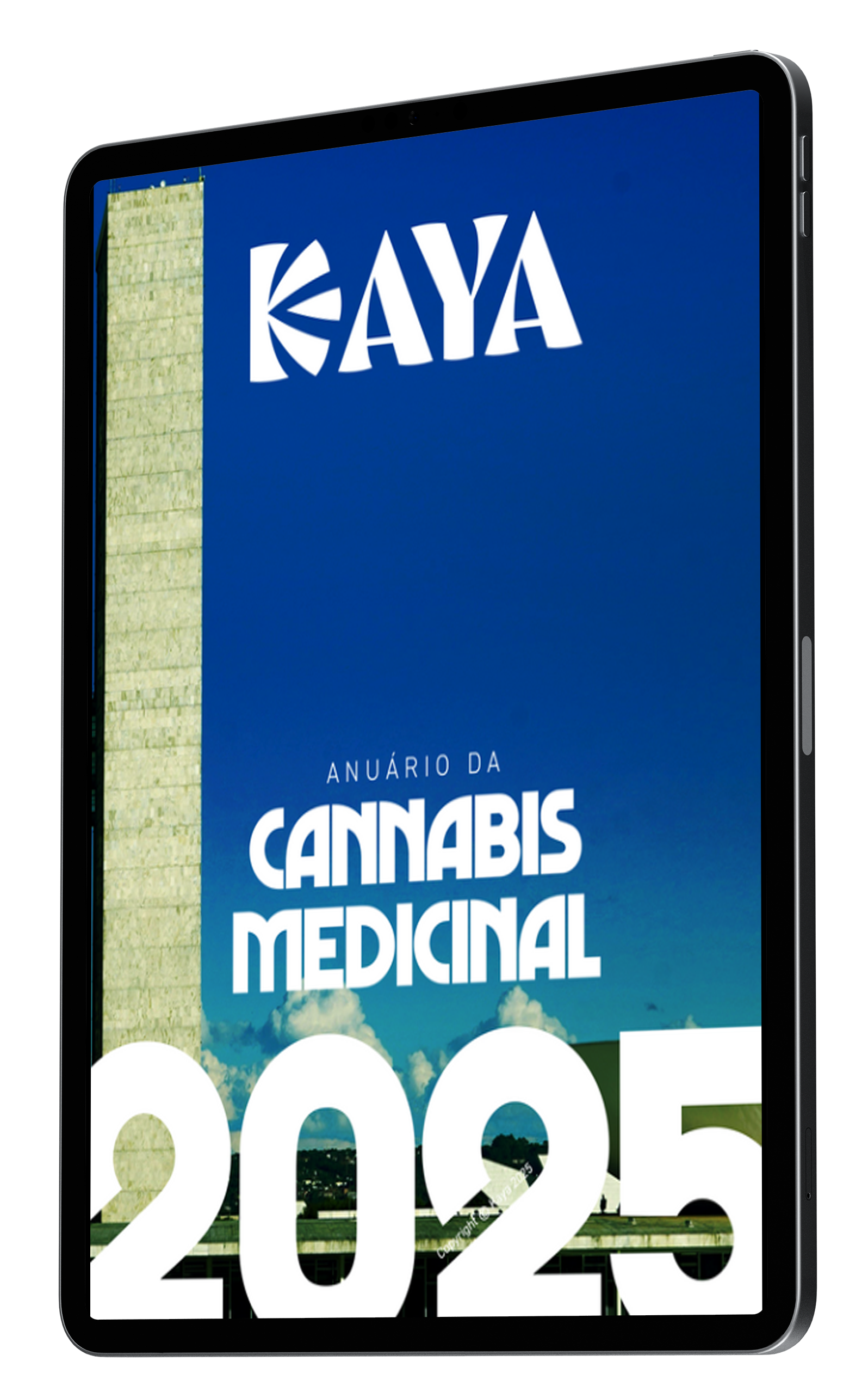 pacientes de cannabis medicinal brasil 2025