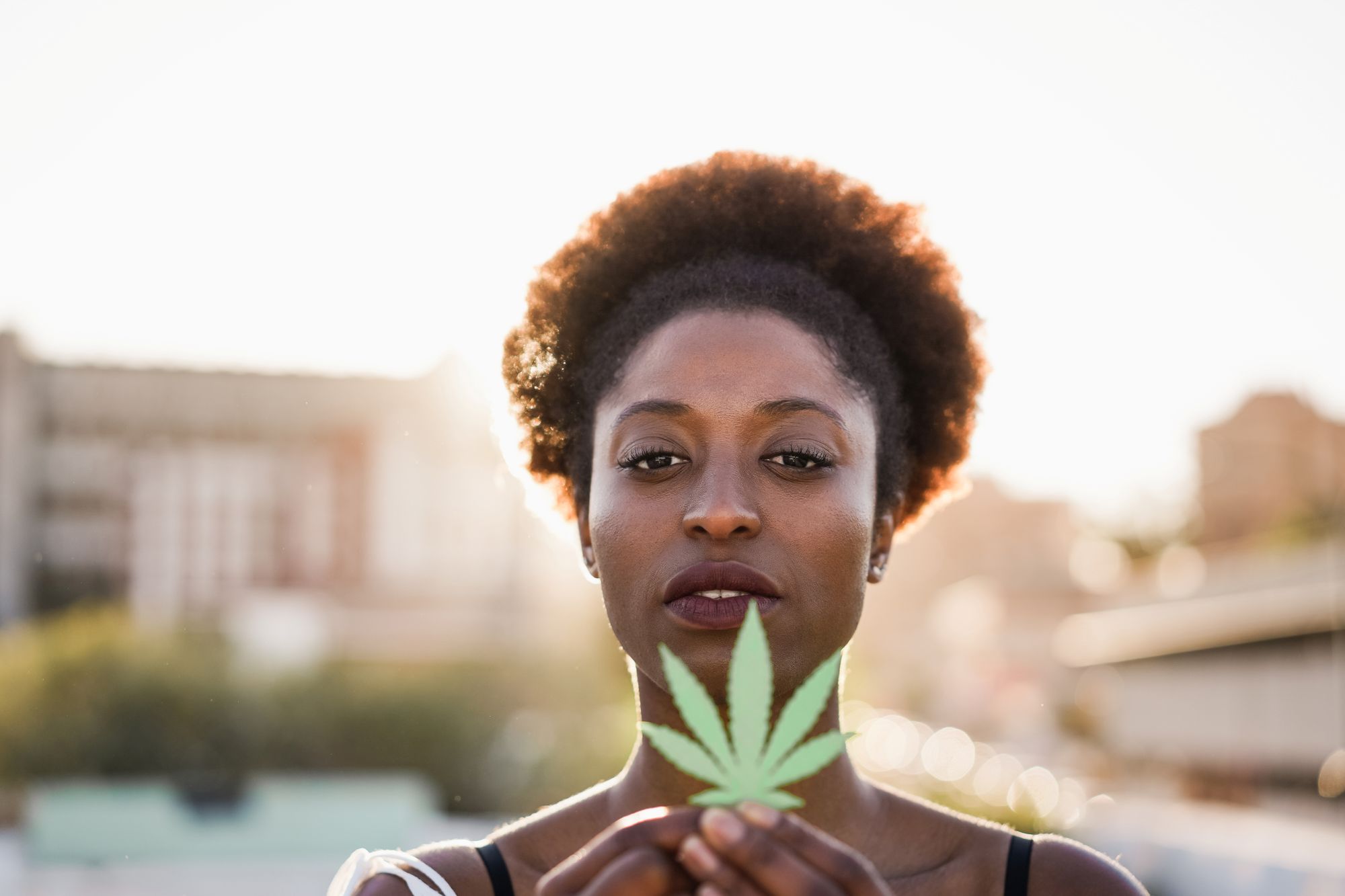 mulheres influentes da cannabis no Brasil