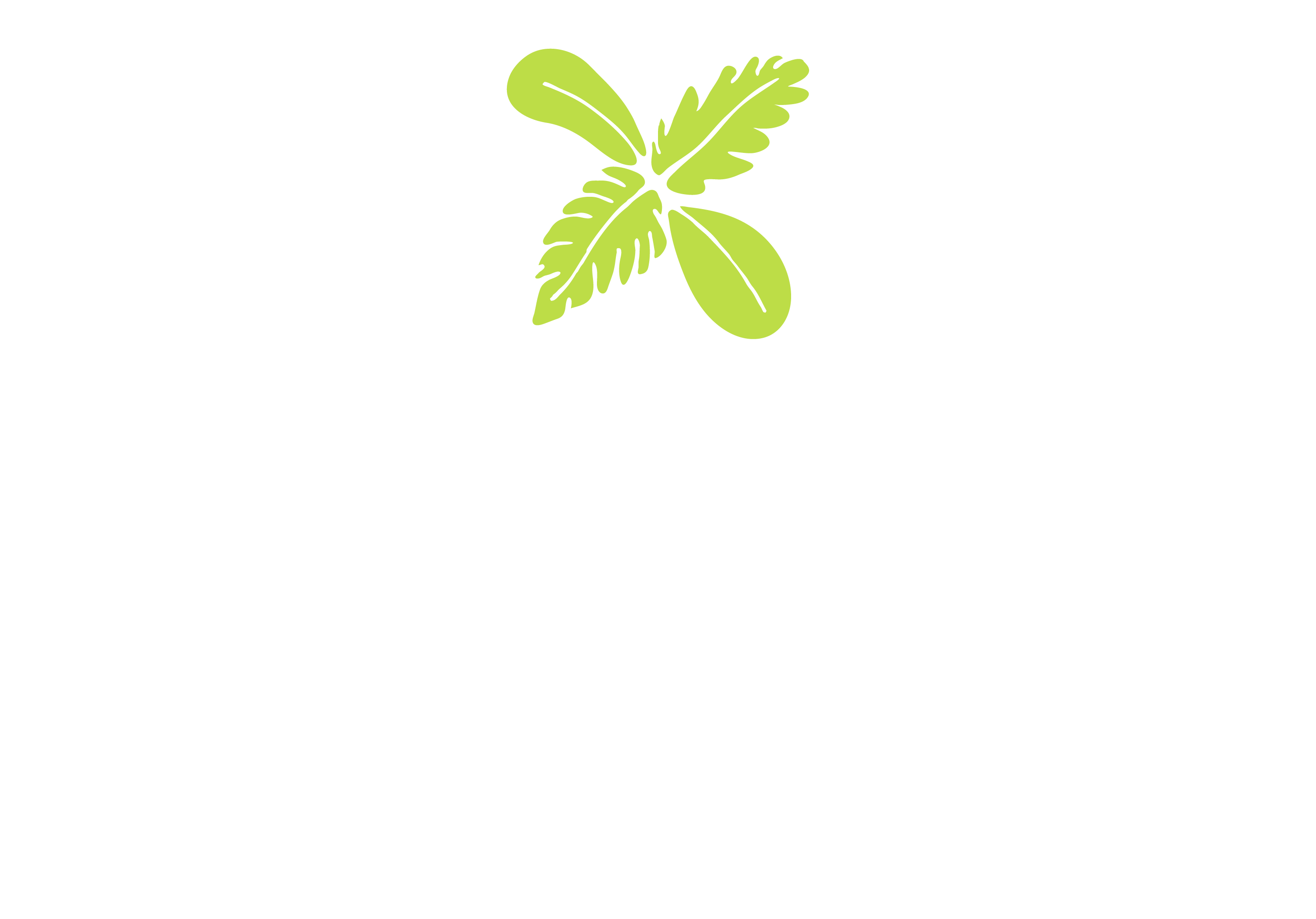 ExpoCannabis Brasil 2026