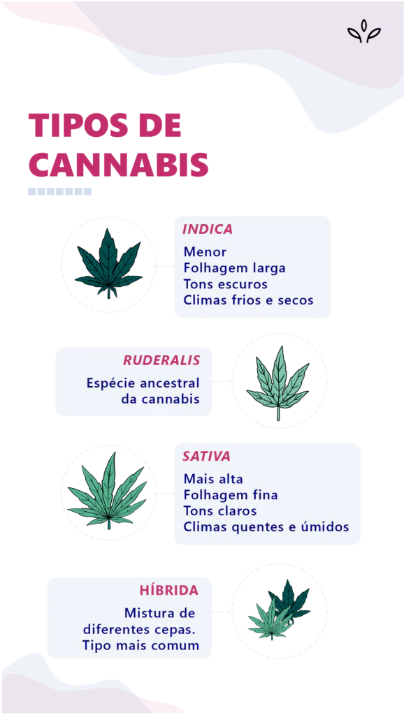 sativa x índica x ruderalis