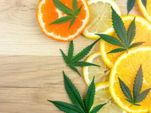 alimentos nutritivos cannabis