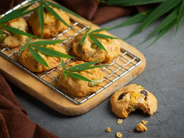 Alimentos com cannabis