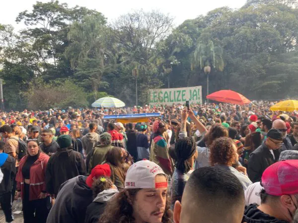 Políticas públicas de cannabis